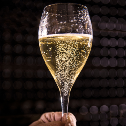 Scopri i tesori del vino piemontese: un tour esclusivo in due prestigiose cantine