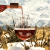 WINE TOUR COM DEGUSTAÇÃO DE VINHOS DO VALLE D’AOSTA, VISITA A COURMAYEUR E MONT BLANC