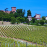 DISCOVER ASTI, NIZZA MONFERRATO, AND TASTING FINE WINES