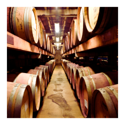 WINE TOUR BRUNELLO  EXPERIENCE