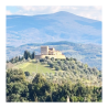 DUE SFUMATURE DI BRUNELLO