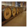 WINE TOUR COSTA TOSCANA