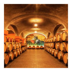 WINE TOUR COSTA TOSCANA