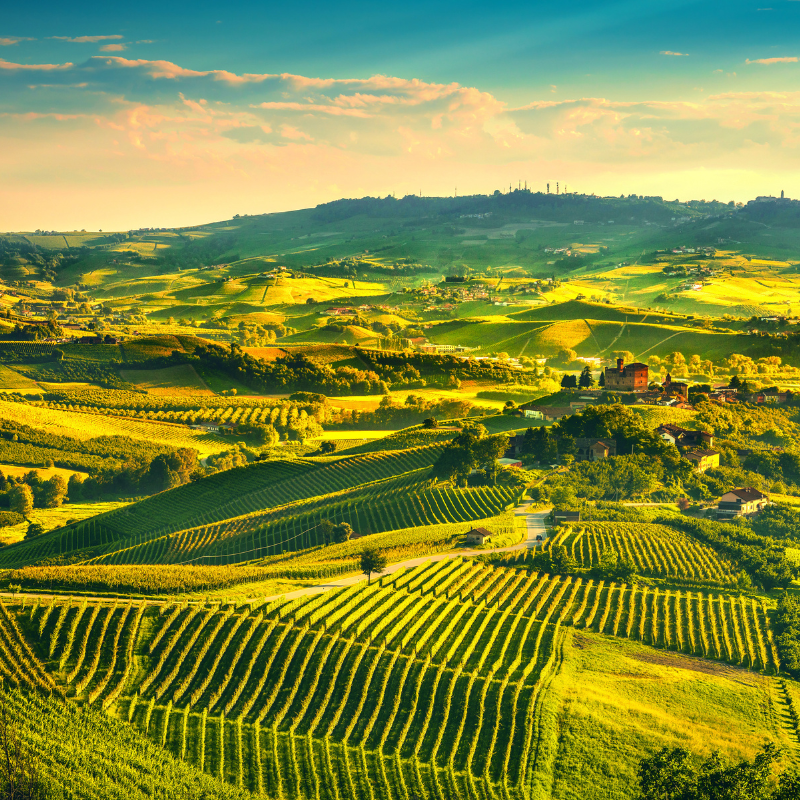 Barolo Wine Tour from Turin – Visit Alba and a UNESCO Castle in Langhe