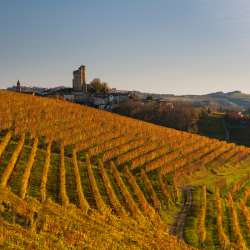 Barolo Wine Tour from Turin – Visit Alba and a UNESCO Castle in Langhe