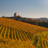 Tour del vino Barolo da Torino: visita ad Alba e a un castello UNESCO nelle Langhe