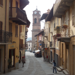 Tour del vino Barolo da Torino: visita ad Alba e a un castello UNESCO nelle Langhe