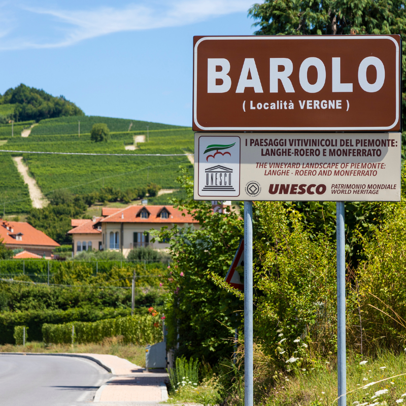 Discover the Treasures of Piedmontese Wine: An Exclusive Tour of Two Prestigious Wineries